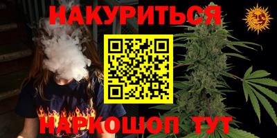 молекула духа Будённовск