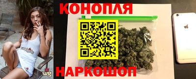 молекула духа Будённовск
