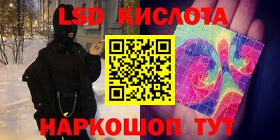 молекула духа Будённовск