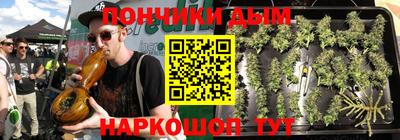 молекула духа Будённовск