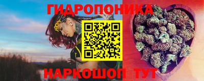 молекула духа Будённовск